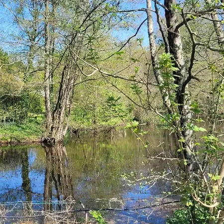 Campsite Mobil-home Le Petit Paradis Vendeen 3 Etoiles 7km Des Plages